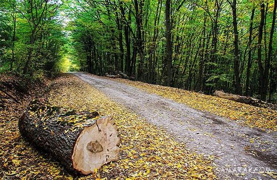 جاهای دیدنی و گردشگری سمنان + جاهای تفریحی استان سمنان جاهای دیدنی و گردشگری سمنان + جاهای تفریحی استان سمنان