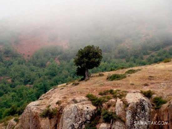 جاهای دیدنی و گردشگری سمنان + جاهای تفریحی استان سمنان (3) جاهای دیدنی و گردشگری سمنان + جاهای تفریحی استان سمنان (3)