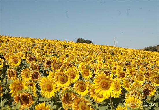 جاهای دیدنی و گردشگری سمنان + جاهای تفریحی استان سمنان (2) جاهای دیدنی و گردشگری سمنان + جاهای تفریحی استان سمنان (2)