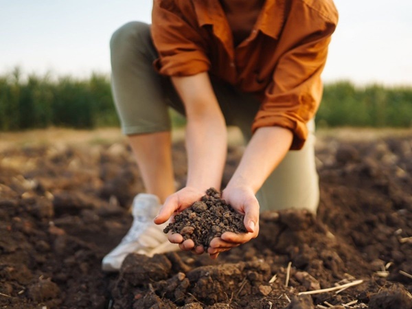خاک لای برای گلدان