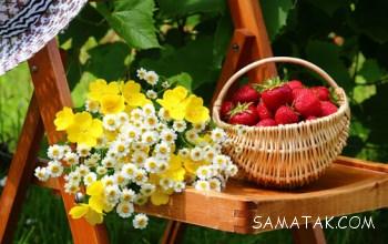 729192721 samatak com