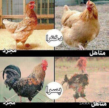عکس پروفایل خنده دار پسرونه جدید و باحال کیفیت HD عکس پروفایل خنده دار پسرونه جدید و باحال کیفیت HD