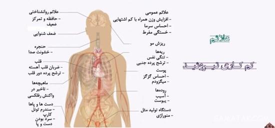 قرص لووتیروکسین خارجی بهتره یا ایرانی