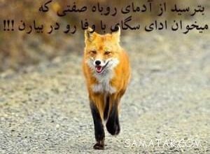 عکس نوشته های دورویی و دورنگی آدما برای پروفایل 80 1815830982 samatak com