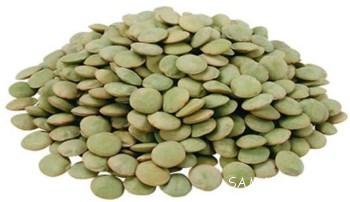 طرز تهیه عدس پلو با رب گوجه 4 342177769 samatak com