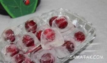 29516310 samatak com