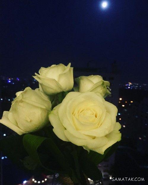 جنجالی ترین عکس های بازیگران ایرانی و سلبریتی های معروف