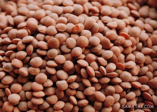 طرز تهیه عدسی میکس شده اصفهانی