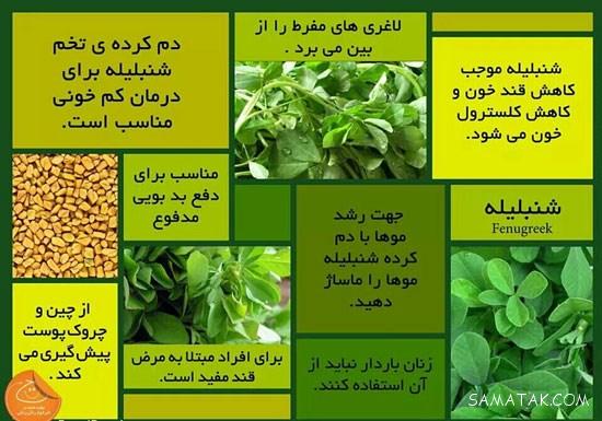 عکس نوشته خواص گیاهان دارویی | عکس نوشته های گیاهان دارویی عکس نوشته خواص گیاهان دارویی | عکس نوشته های گیاهان دارویی