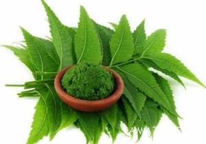 داروهای گیاهی برای درمان تبخال تناسلی در منزل 9 98705780 samatak com