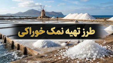 طرز تهیه نمک خوراکی | نمک خوراکی چگونه تهیه می شود 87 طرز تهیه نمک خوراکی