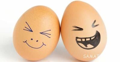 کاملترین مرجع تعبیر خواب تخم مرغ از دیدگاه معبران بزرگ 1 1751761610 samatak com