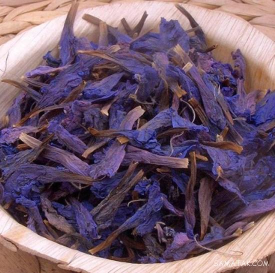 خواص و عوارض گل گاوزبان برای زنان و مردان + روش دم کردن گل گاوزبان خواص و عوارض گل گاوزبان برای زنان و مردان + روش دم کردن گل گاوزبان