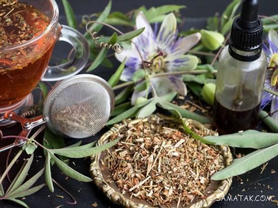 گل ساعتی برای چی خوبه | خواص دارویی گل ساعتی