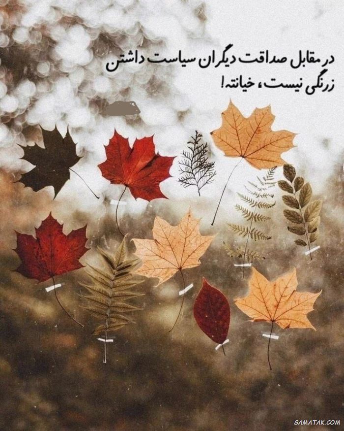 شعر کوتاه در مورد پاییز شعر کوتاه در مورد پاییز