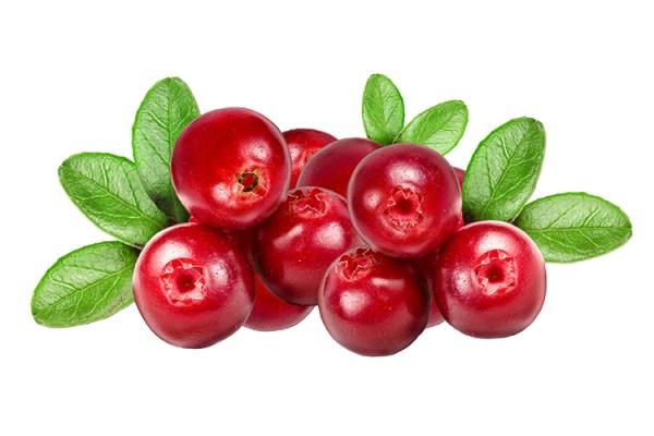 طرز تهیه دمنوش قره قاط | خواص دم کرده قره قاط
