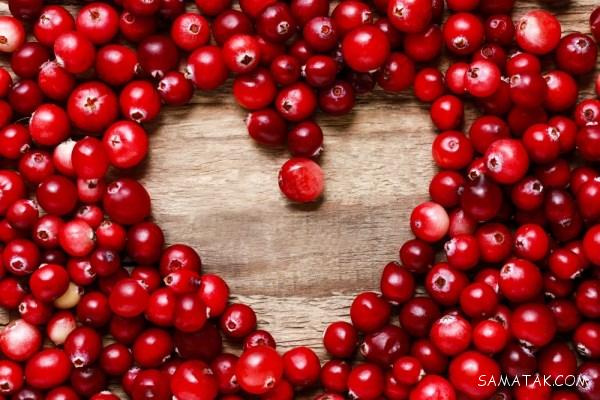 طرز تهیه دمنوش قره قاط | خواص دم کرده قره قاط