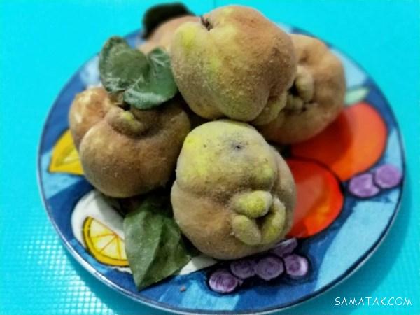 روش پخت مربا به خوشمزه و خوشرنگ + خواص مربای به در طب سنتی روش پخت مربا به خوشمزه و خوشرنگ + خواص مربای به در طب سنتی