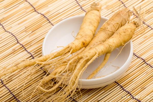 خواص دارویی ریشه جینسینگ + طریقه مصرف ریشه گیاه جینسینگ خواص دارویی ریشه جینسینگ + طریقه مصرف ریشه گیاه جینسینگ