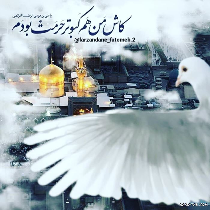 پیامک تصویری شهادت امام رضا