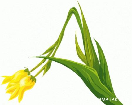 عکس نوشته حرف a انگلیسی برای پروفایل عکس نوشته حرف a انگلیسی برای پروفایل