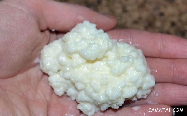 طرز تهیه دوغ کفیر خانگی در خانه + خواص دوغ کفیر در طب سنتی