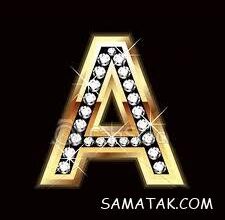 2009028042 samatak com