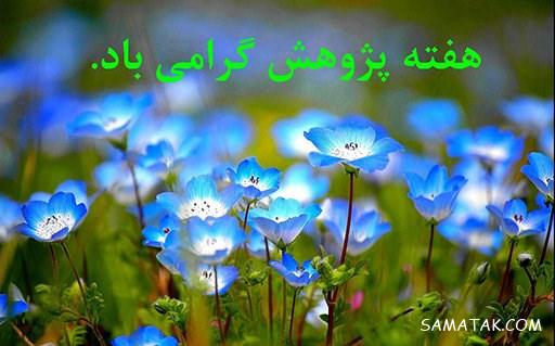 پیام تبریک به مناسبت روز پژوهش + عکس نوشته تبریک روز پژوهش پیام تبریک به مناسبت روز پژوهش + عکس نوشته تبریک روز پژوهش