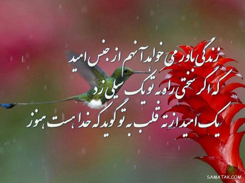 عکس نوشته های تاثیر گذار برای پروفایل + جملات تاثیر گذار روی دخترا