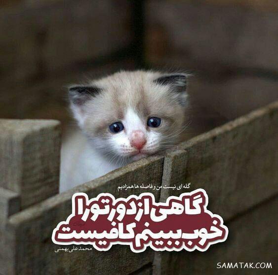 عکس پروفایل خیلی غمگین بدون متن + متن عاشقانه برای بیوگرافی پروفایل عکس پروفایل خیلی غمگین بدون متن + متن عاشقانه برای بیوگرافی پروفایل