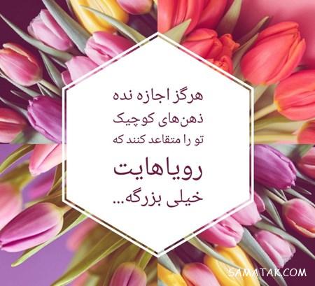 عکس پروفایل قبولی کنکور | عکس پروفایل کنکوری جدید و نتایج کنکور عکس پروفایل قبولی کنکور | عکس پروفایل کنکوری جدید و نتایج کنکور