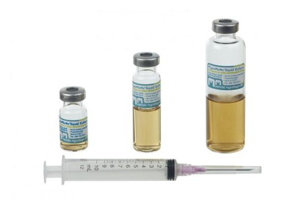 یک "ویال" Vial چیست | یک ویال چقدر است یک "ویال" Vial چیست | یک ویال چقدر است