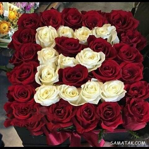 عکس نوشته حرف انگلیسی e برای پروفایل با کیفیت بالا عکس نوشته حرف انگلیسی e برای پروفایل با کیفیت بالا