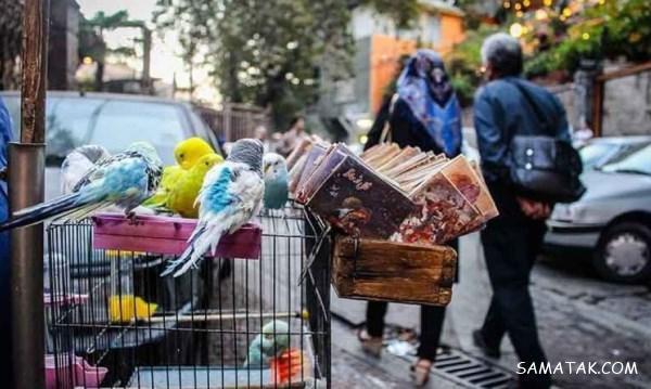 شبهای دربند تهران چگونه می گذرد؟ | مسیر رفتن به دربند تهران + تصاویر شبهای دربند تهران چگونه می گذرد؟ | مسیر رفتن به دربند تهران + تصاویر