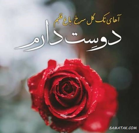 دوستت دارم عشقم نفسم + متن دوست دارم عشقم دوستت دارم عشقم نفسم + متن دوست دارم عشقم