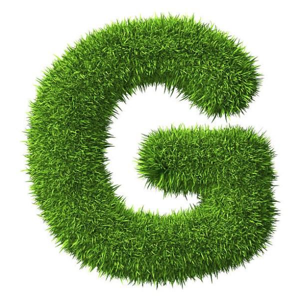عکس نوشته حرف g انگلیسی + عکس اول اسم g | عکس حرف g برای پروفایل عکس نوشته حرف g انگلیسی + عکس اول اسم g | عکس حرف g برای پروفایل