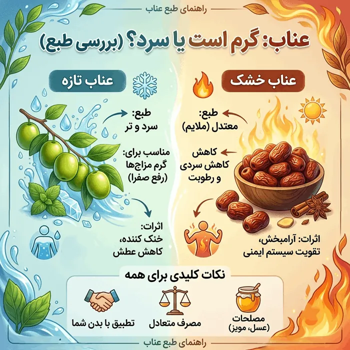 طبع عناب سرد است یا گرم (تازه - خشک) + مصلح عناب 3 طبع عناب