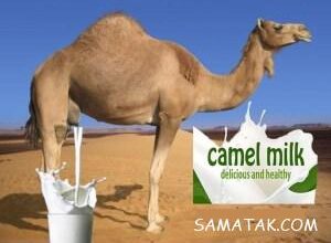 131019992 samatak com