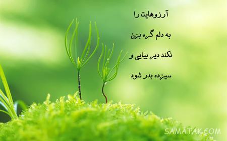 عکس نوشته عشقم سیزده بدر مبارک + عکس پروفایل تبریک سیزده بدر به همسر عکس نوشته عشقم سیزده بدر مبارک + عکس پروفایل تبریک سیزده بدر به همسر