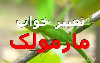 تعبیر خواب مارمولک سبز، سیاه، قهوه ای، سفید، خاکستری، مرده و بزرگ 94 108472284 samatak com