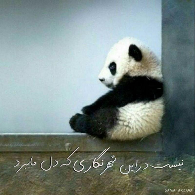 عکس پروفایل عاشقانه دونفره لاکچری + عکس های لاکچری دونفره برای پروفایل عکس پروفایل عاشقانه دونفره لاکچری + عکس های لاکچری دونفره برای پروفایل