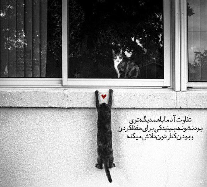 عکس بدون متن فاز سنگین + عکس پروفایل غمگین با متن سنگین عکس بدون متن فاز سنگین + عکس پروفایل غمگین با متن سنگین