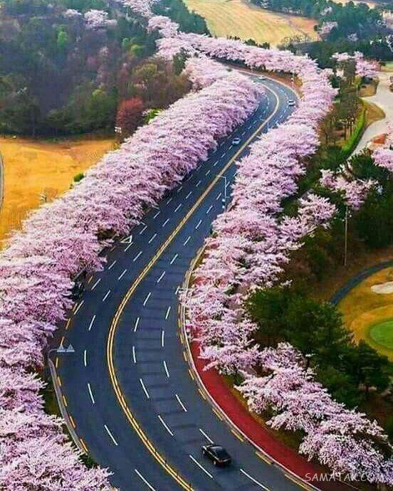 جملات انگلیسی کوبنده عاشقانه با ترجمه فارسی