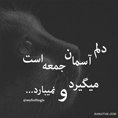 عکس نوشته جمعه دلگیر | عکس نوشته غروب جمعه دلم گرفته عکس نوشته جمعه دلگیر | عکس نوشته غروب جمعه دلم گرفته