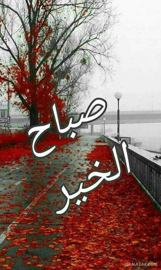 عکس صبح بخیر جمعه با جملات زیبا و انگیزشی عکس صبح بخیر جمعه با جملات زیبا و انگیزشی