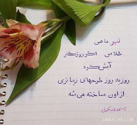 عکس پروفایل تیر ماهی جدید | عکس پروفایل تیر ماهی خاص