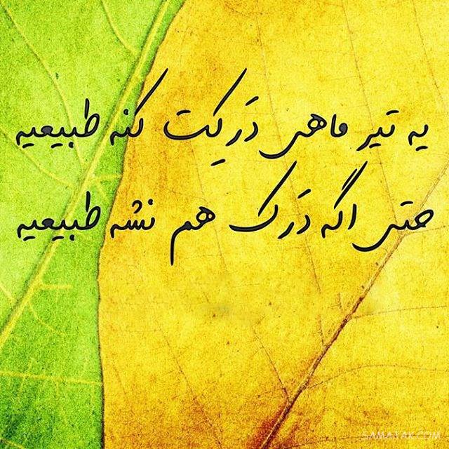 عکس پروفایل تیر ماهی جدید | عکس پروفایل تیر ماهی خاص