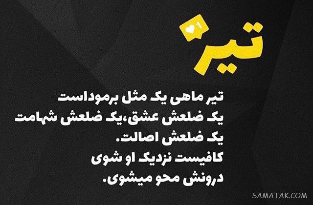 تیرماهی جان تولدت مبارک (عکس نوشته، شعر، متن، پروفایل) تیرماهی جان تولدت مبارک (عکس نوشته، شعر، متن، پروفایل)
