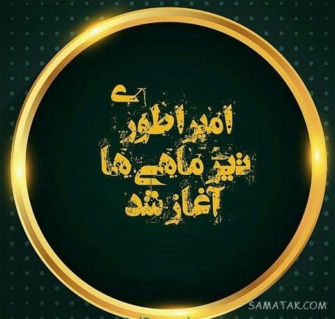 عکس پروفایل تیر ماهی دخترونه + عکس پروفایل تیر ماهی ها