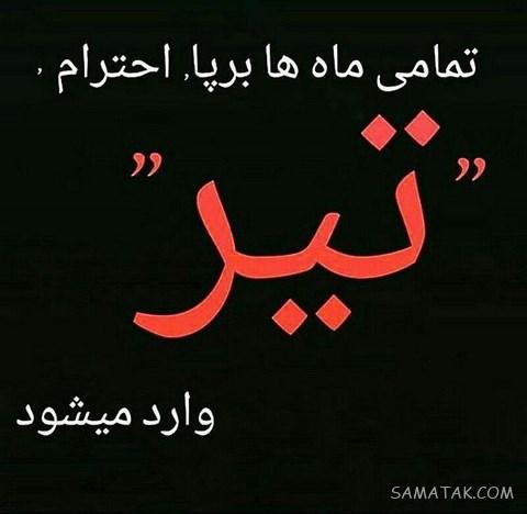 عکس پروفایل تیر ماهی دخترونه + عکس پروفایل تیر ماهی ها
